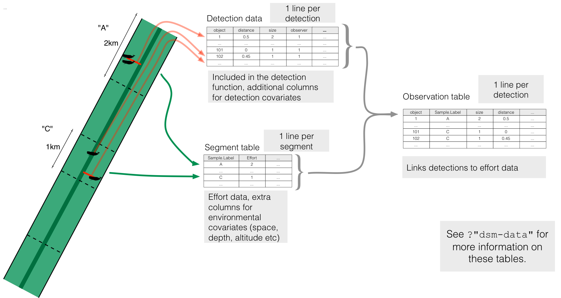 Correspondence between dsm tables