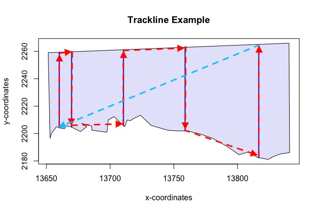 Figure 6: Illustrates the trackline and cyclic trackline lengths for random parallel line designs. The sum of the lengths of the red arrows represent the trackline length. The sum of the lengths of the red arrows and the light blue arrow represent the cyclic trackline length.