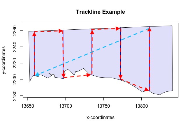 Figure 7: Illustrates the trackline and cyclic trackline lengths for systematic parallel line designs. The sum of the lengths of the red arrows represent the trackline length. The sum of the lengths of the red arrows and the light blue arrow represent the cyclic trackline length.